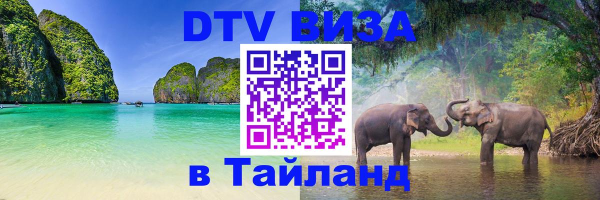 Оформление DTV визы под ключ: стоимость и тарифы, только загранпаспорт - 